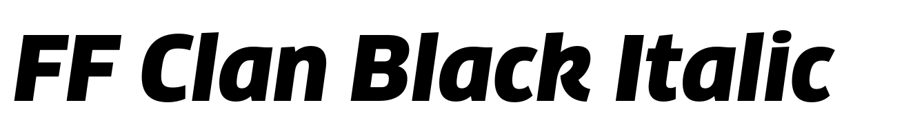 FF Clan Black Italic